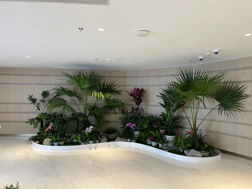 慈溪植物租摆哪家好